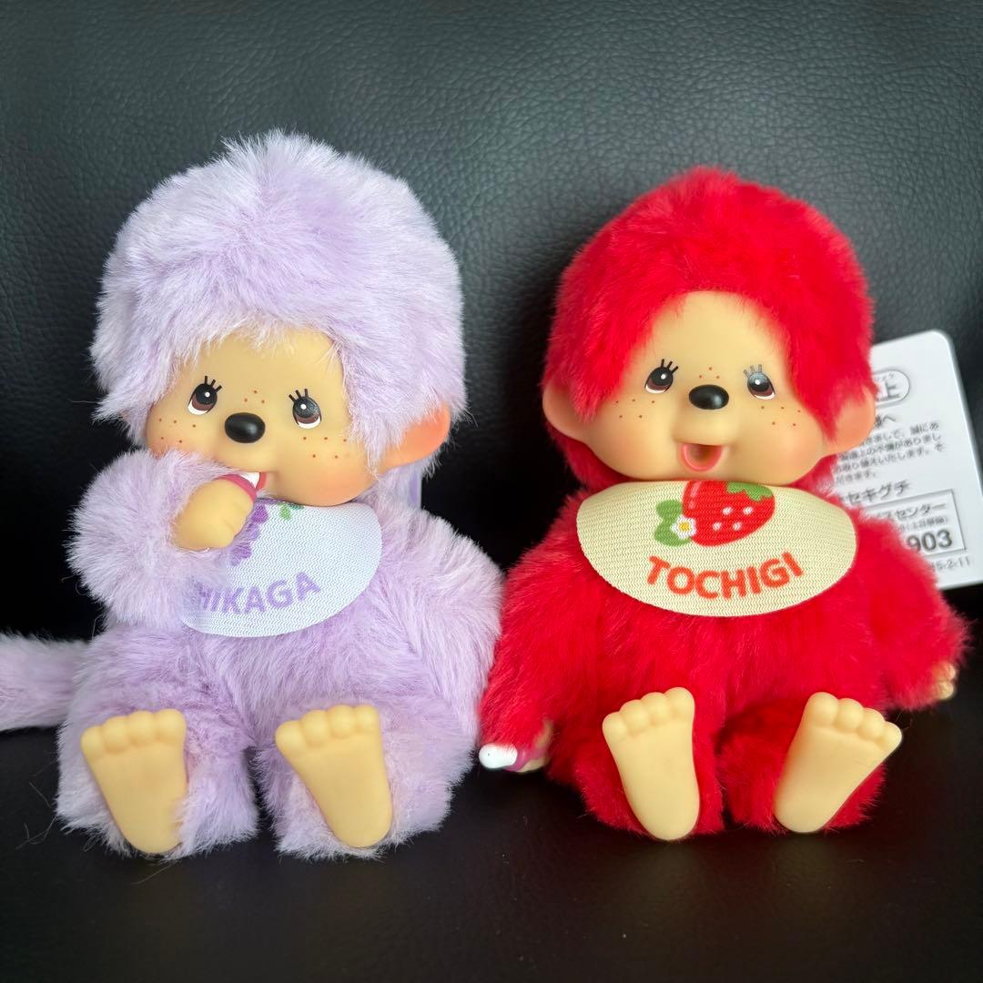 新品 モンチッチ 栃木 あしかがフラワーパーク ご当地 キーホルダー 2個セット