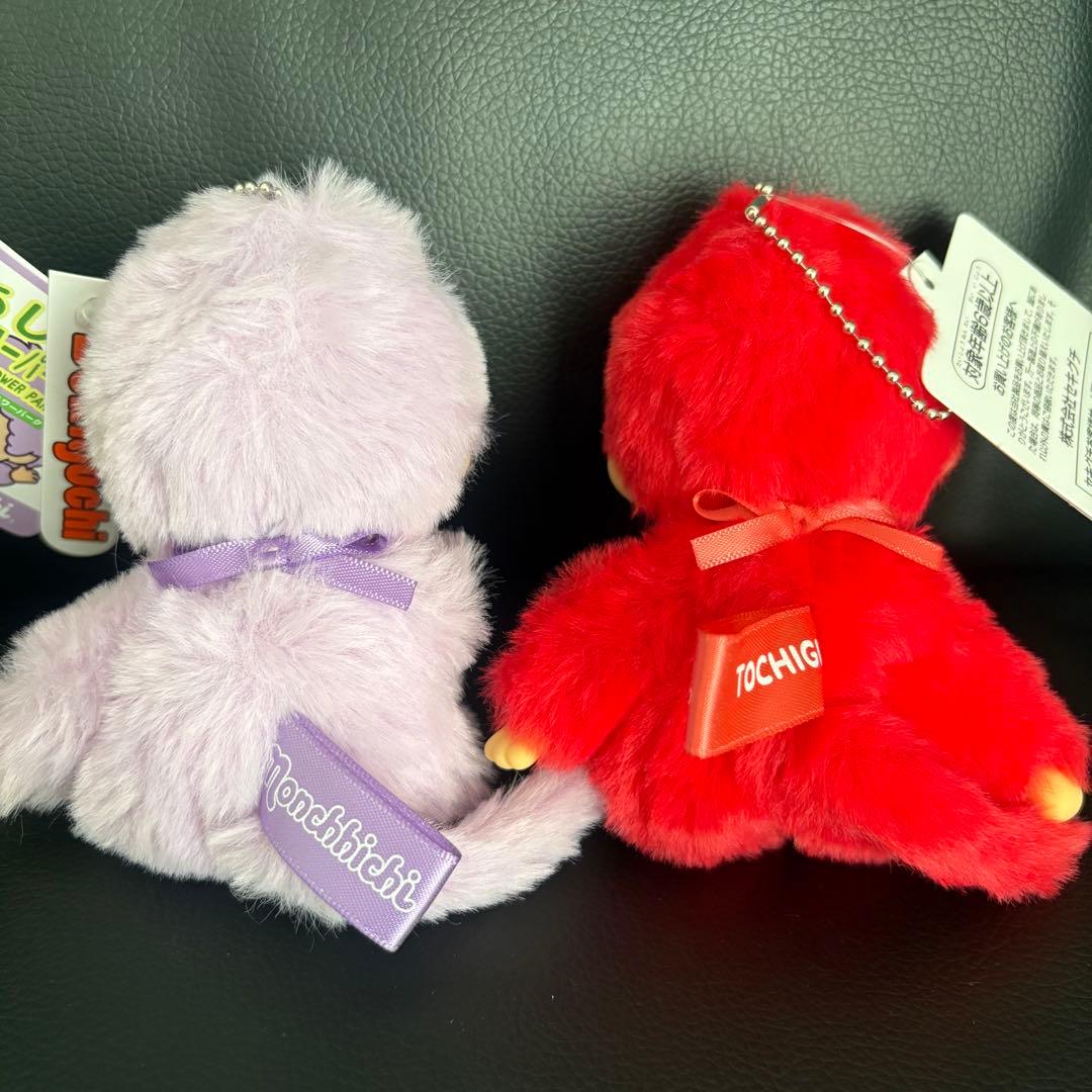 新品 モンチッチ 栃木 あしかがフラワーパーク ご当地 キーホルダー 2個セット