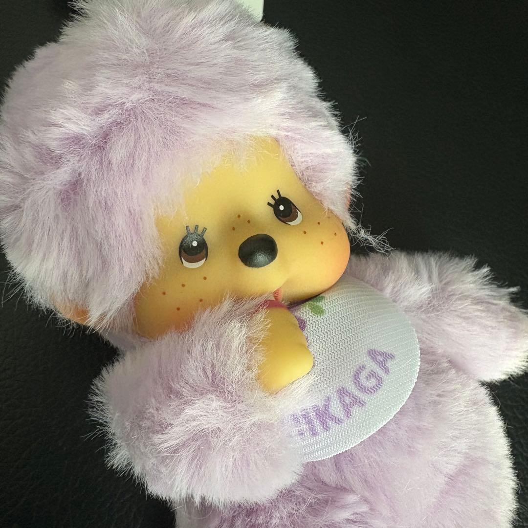 新品 モンチッチ 栃木 あしかがフラワーパーク ご当地 キーホルダー 2個セット