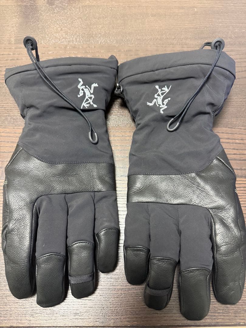 アークテリクス フィション SV グローブ サイズM