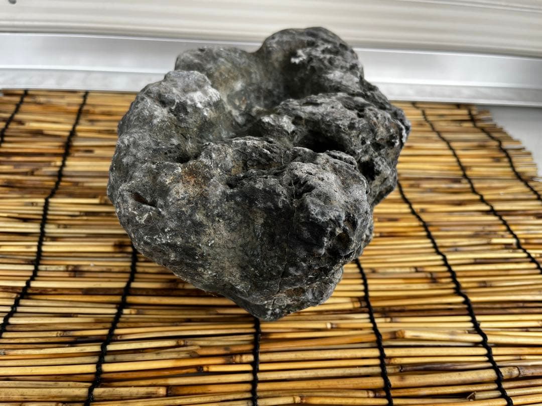 佐治石〈17〉【Taiyoメダカ】