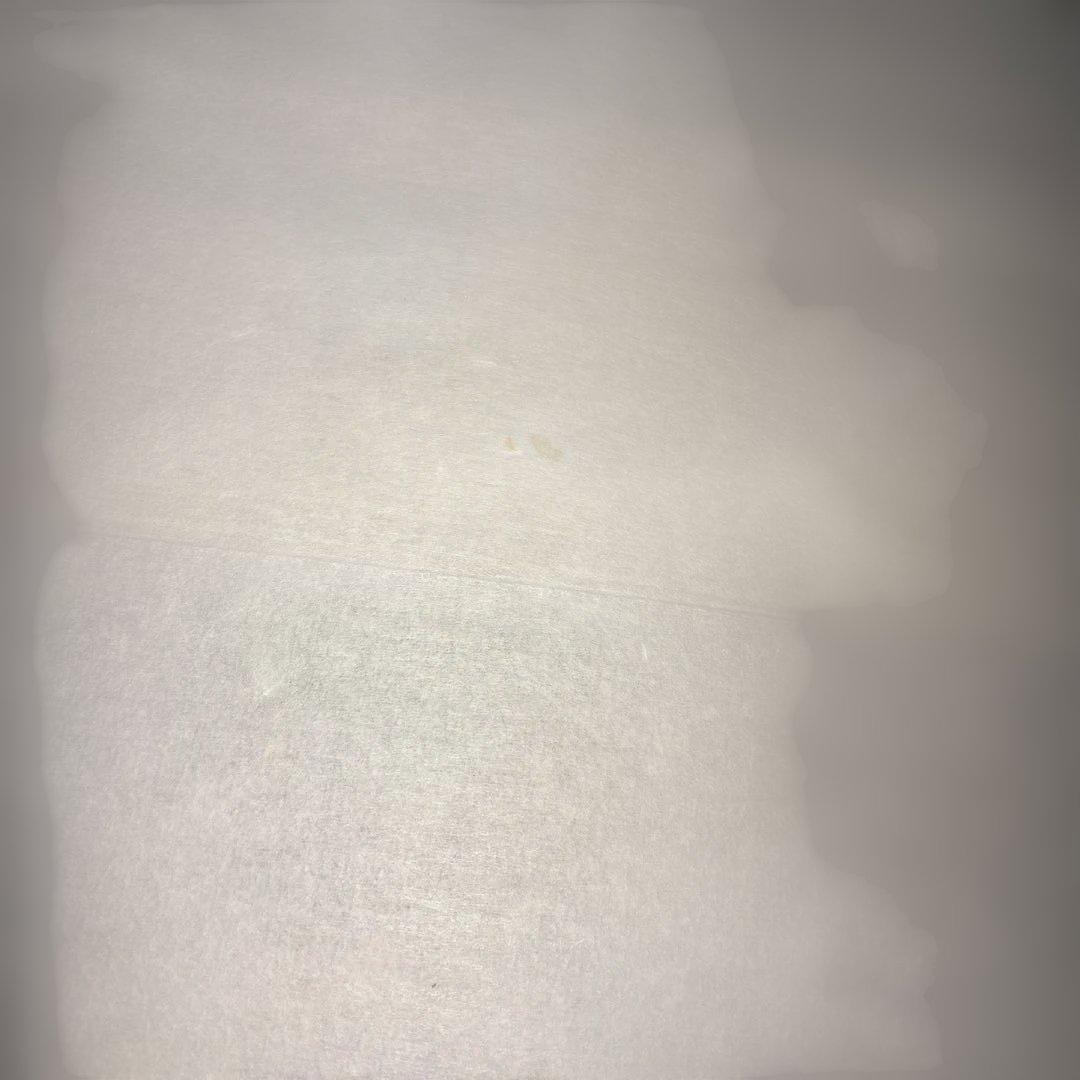 【茶道具】足立泰道筆　緑風　松泉筆　菖蒲（共箱）★送料込★