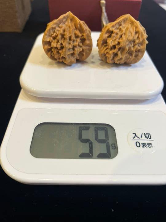 遊び胡桃 希少 帝王帽3ムキ コレクション 趣味