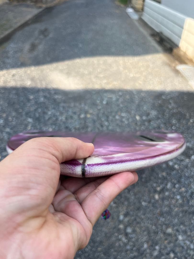 McCallum pinnacle egg 5'10\" マッカラム ピナクル