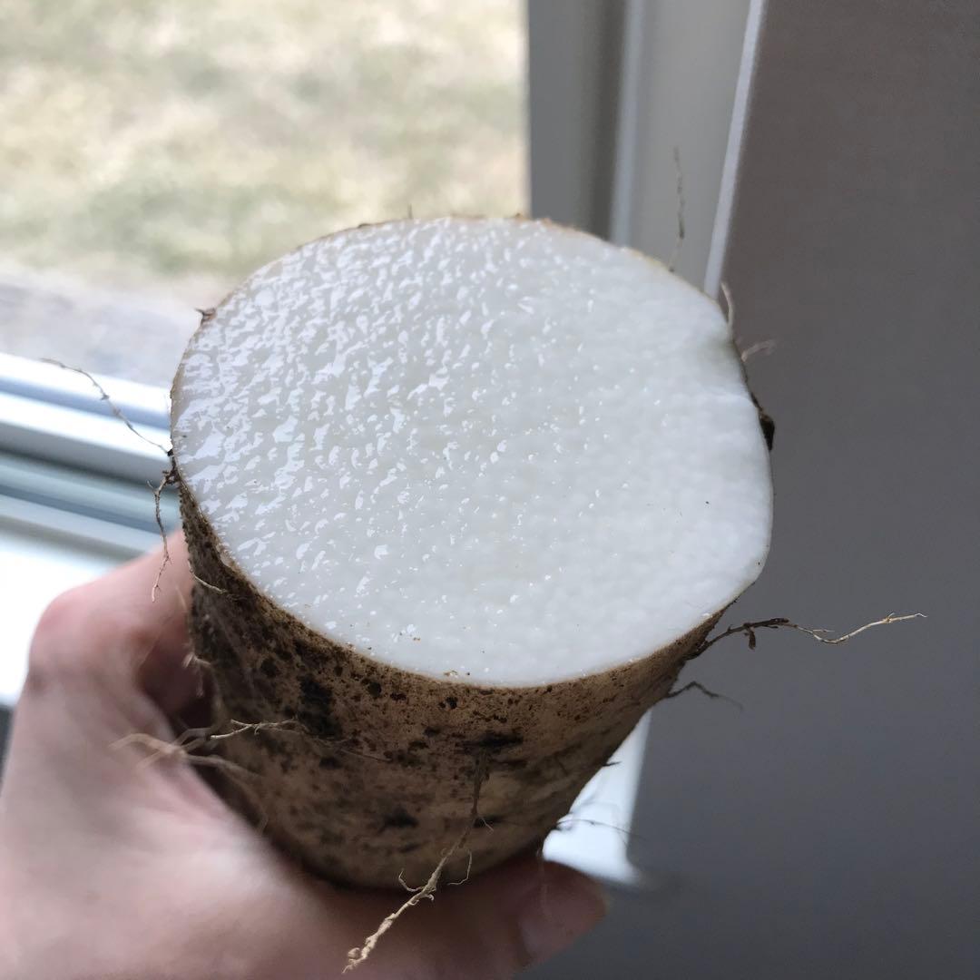 ひで様　贈答10キロと規格外10キロ