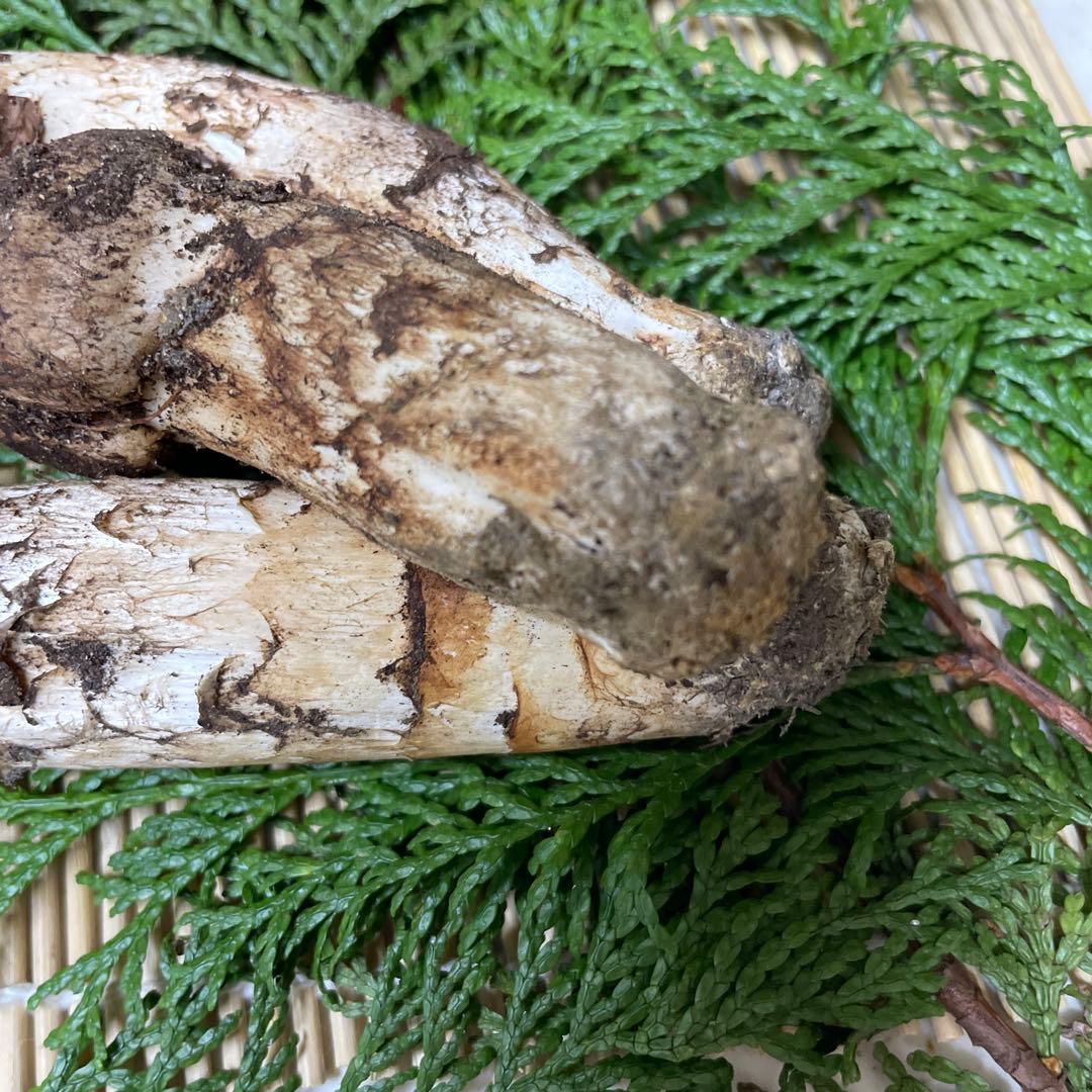 t*i様 広島県産　松茸