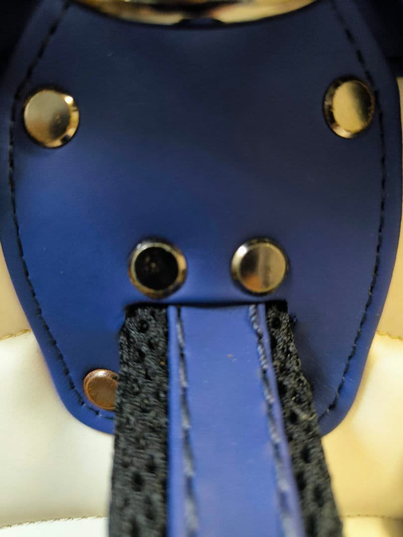 PING ゴルフバッグ 青色