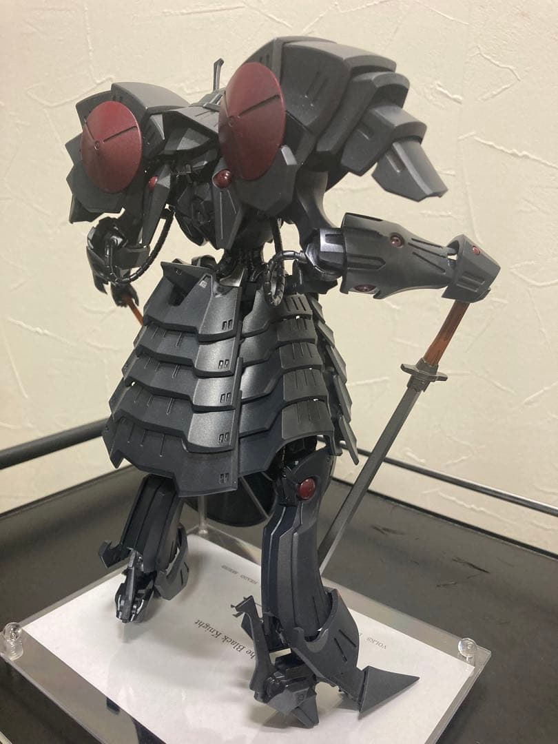 FSS IMS 1/100 バッシュ　黒騎士