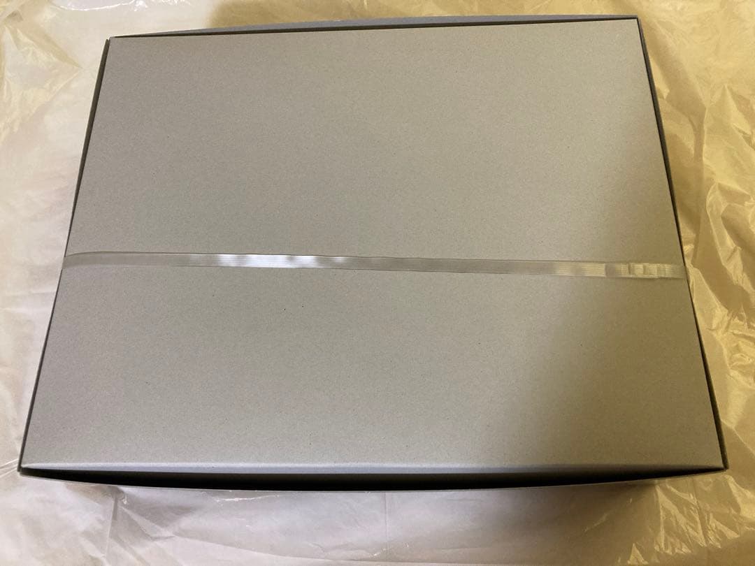 新品 HG クスィーガンダム 閃光のハサウェイ クスィガンダム