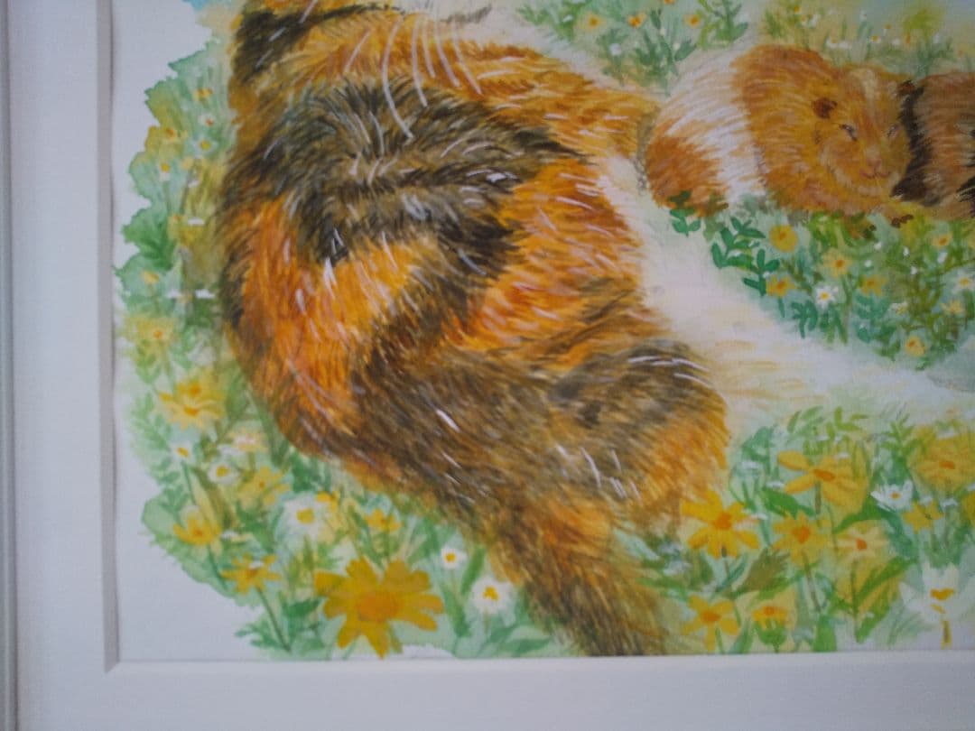 楽園　のんびり