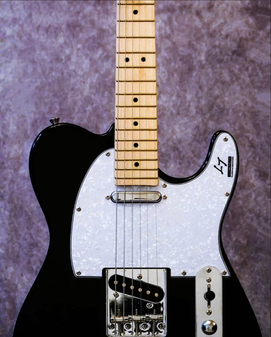 【サイン/シリアルナンバー入り/新品未使用】ギター TT 田口達也