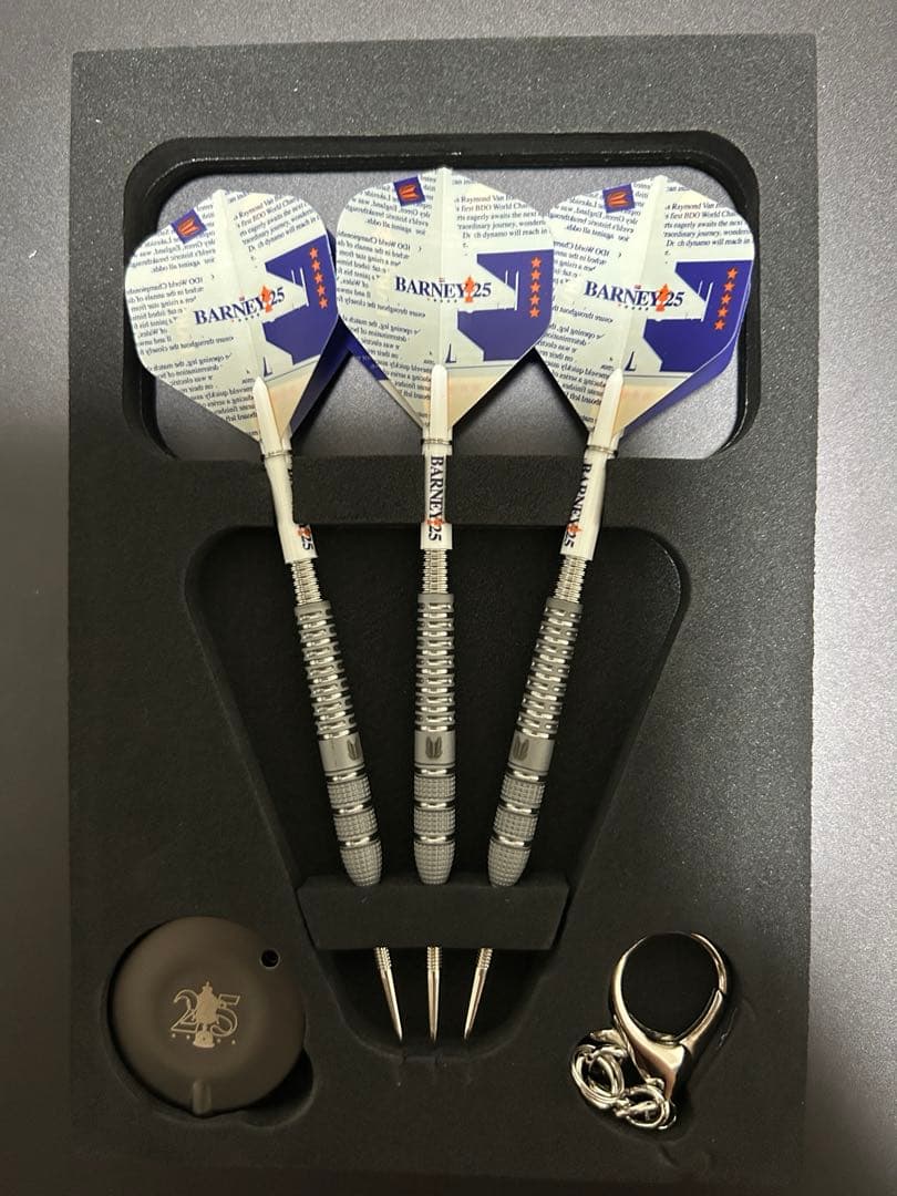 【ターゲット】バーニー25 レイモンド・ヴァン・バーナベルド スイスポイント