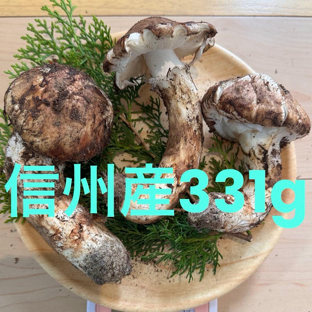 信州産松茸331g【訳あり】