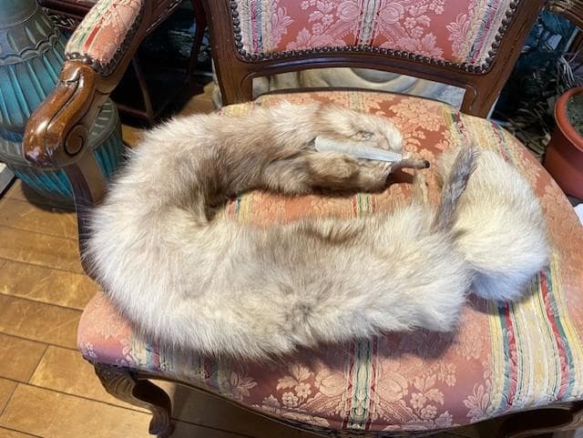 クリーム色のファーコート