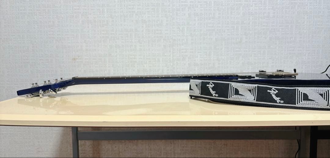 PRS SE Custom24 エレキギター (ストラップ、シールド付き)