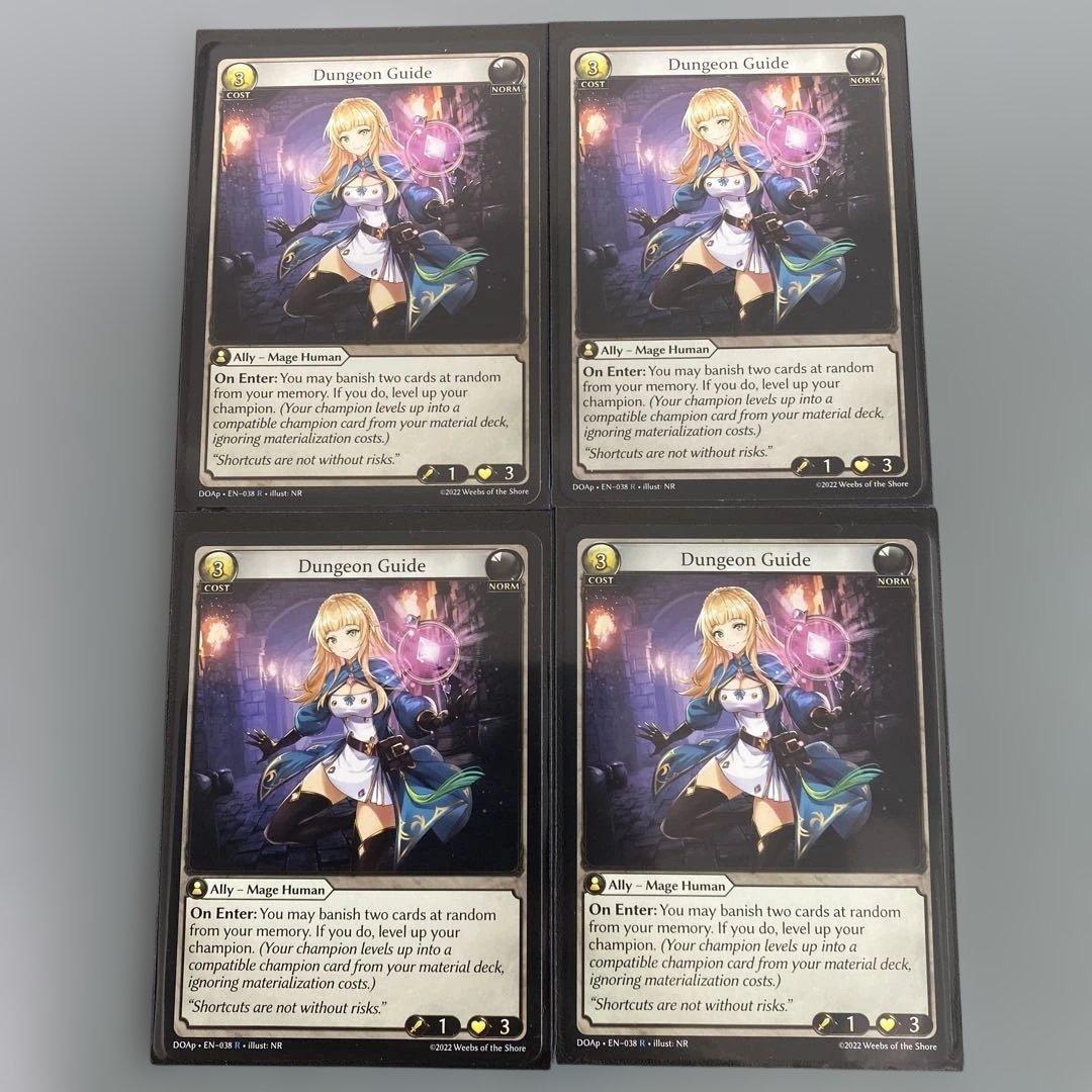 【追跡あり/匿名配送】Dungeon Guide 4枚