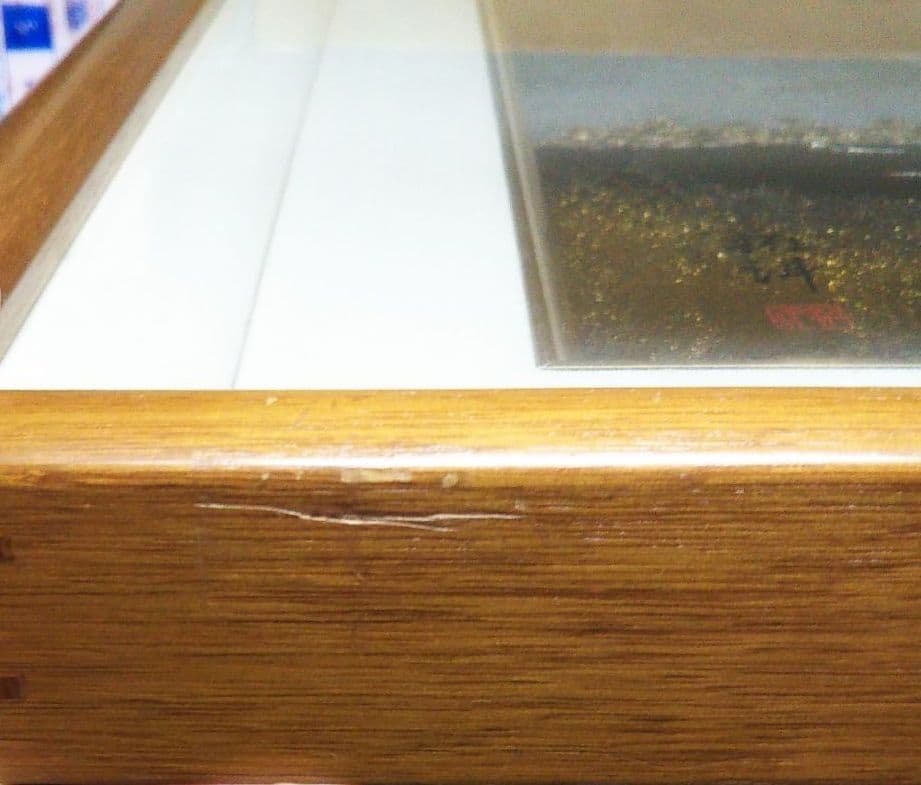 菅原 拓洋 白富士山 金箔押 絵画