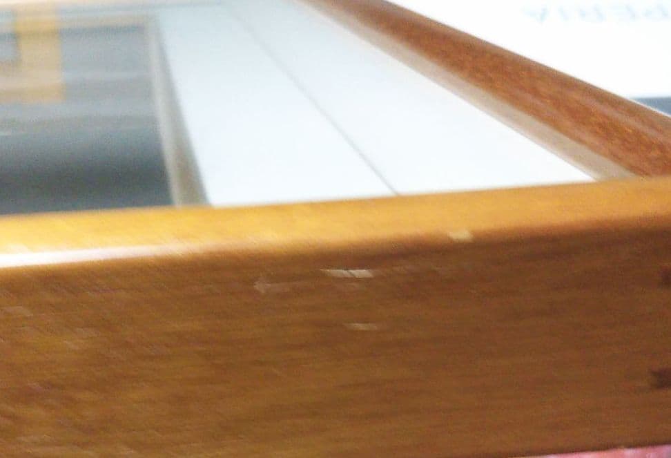 菅原 拓洋 白富士山 金箔押 絵画