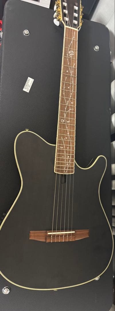 Ibanez TOD10N ティムヘンソンSignature ギター