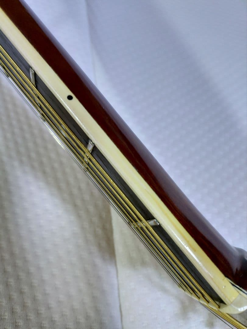 MORRIS 　SPECIAL 　TF - 50 　　ハードケース付属