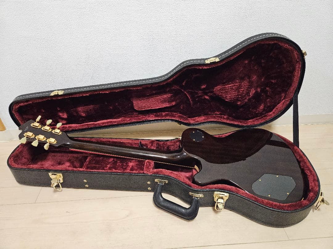 ギター FUJIGEN / Expert FLAME(EFL)