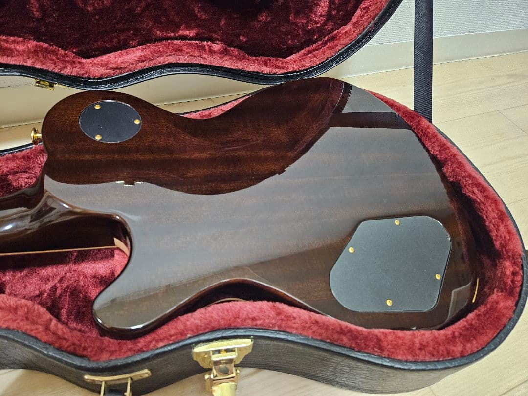 ギター FUJIGEN / Expert FLAME(EFL)