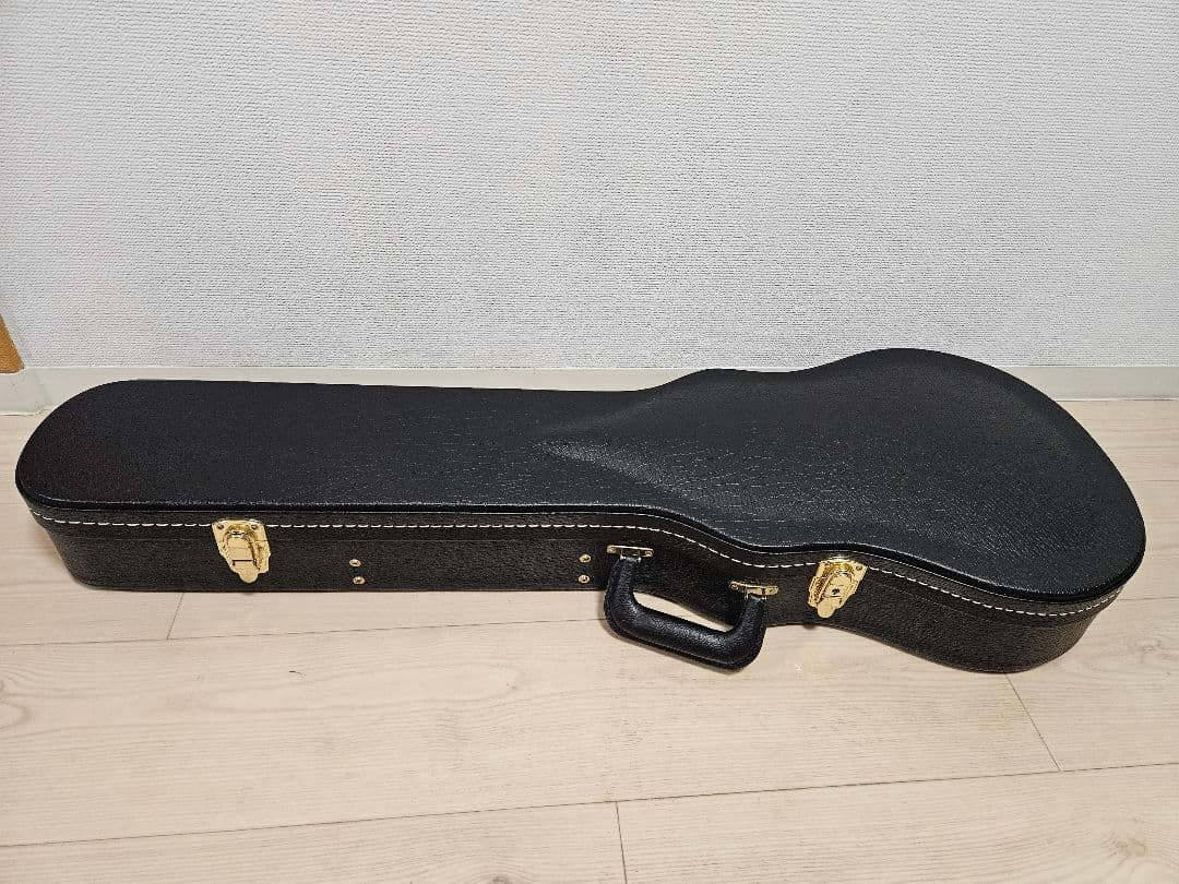 ギター FUJIGEN / Expert FLAME(EFL)