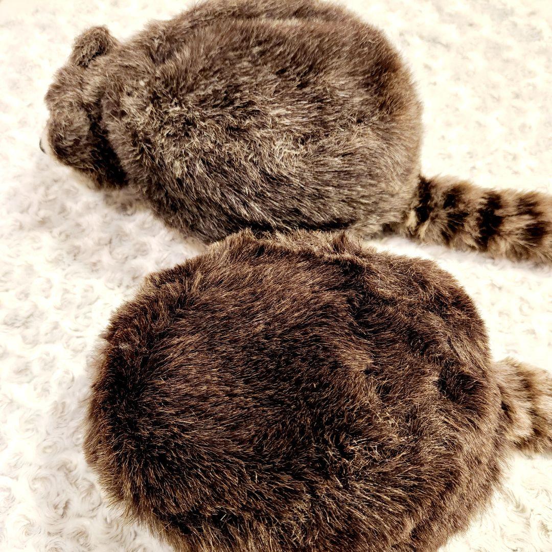 昭和レトロ　ファースト　アライグマ帽子