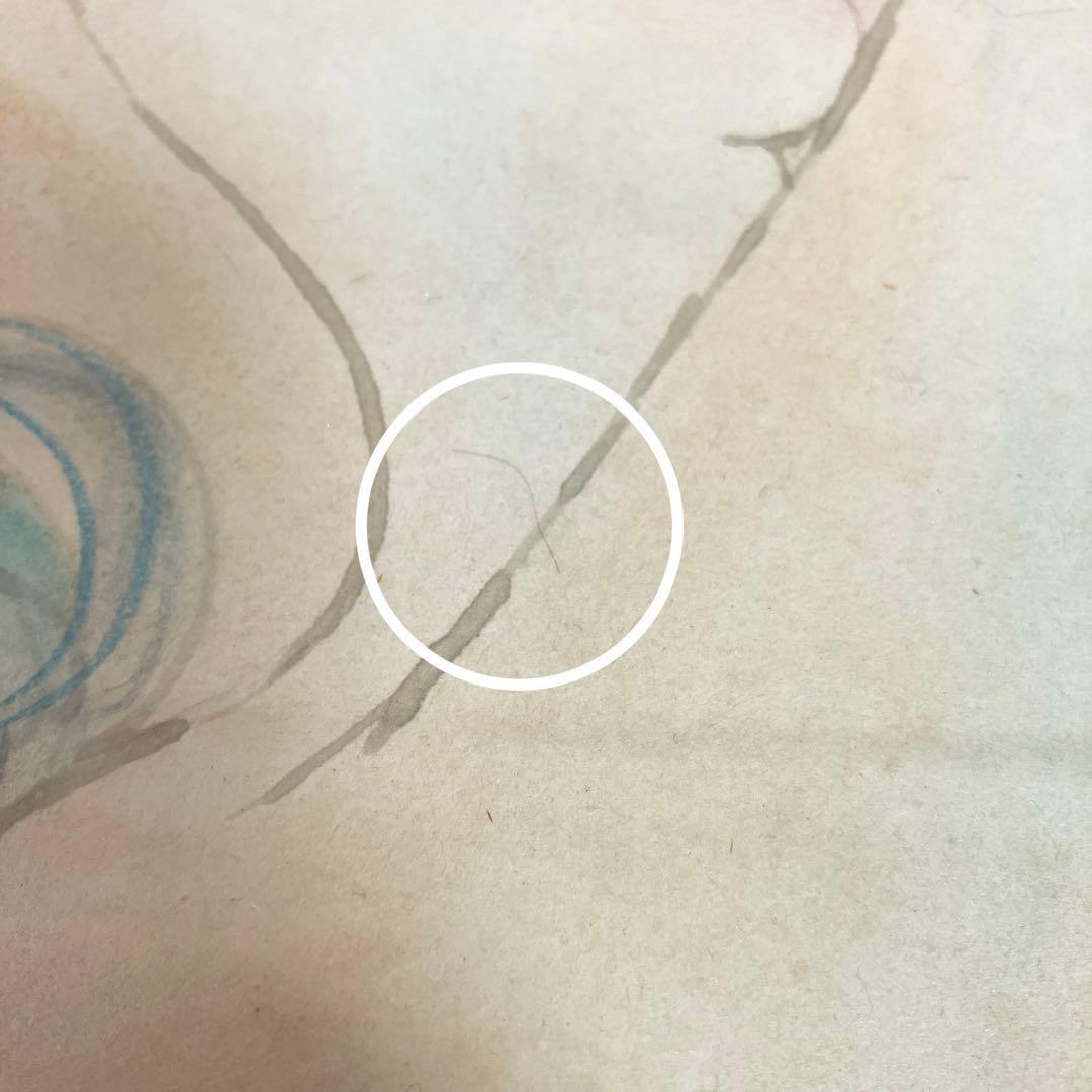 水森亜土 水彩画 色紙 空とぶバッシュ 額入り