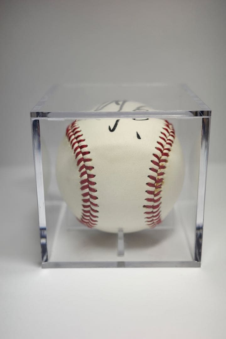 坂本勇人 直筆サインボール 投げ込み 読売ジャイアンツ 公式ロゴ球