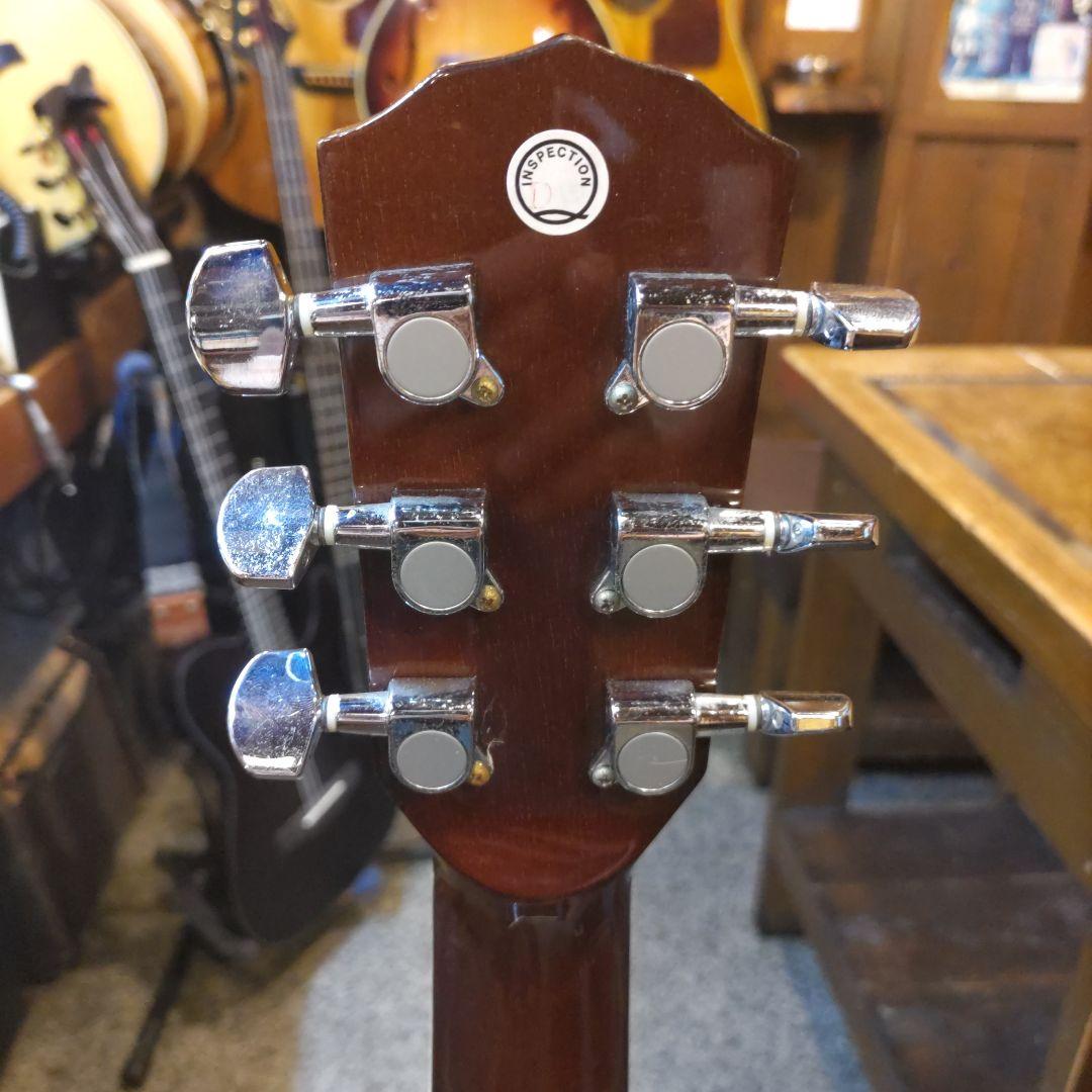 Fender GDP100 (管理テナ)