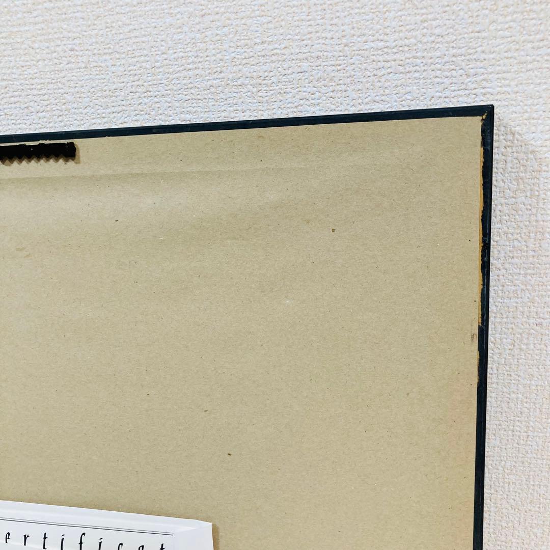 Disney ミッキーのフィルハーマジック ドナルド 絵画