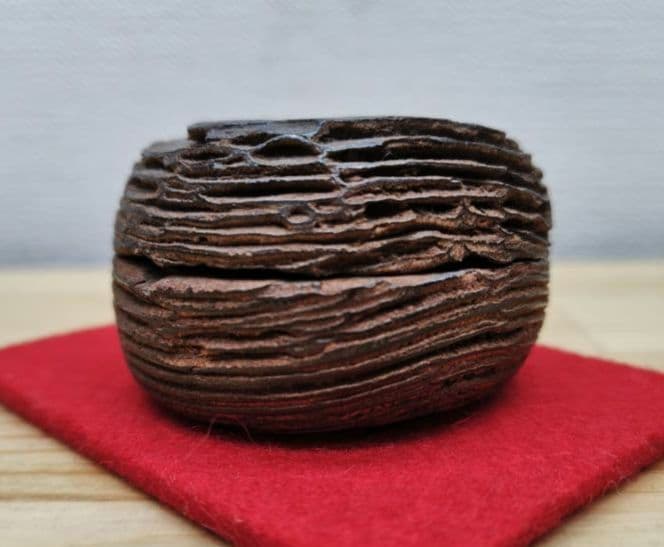 送料込【逢絢亭】茶道具 香合 松皮香合 織部の松を以て 木製 不蔵庵 龍渓 共箱