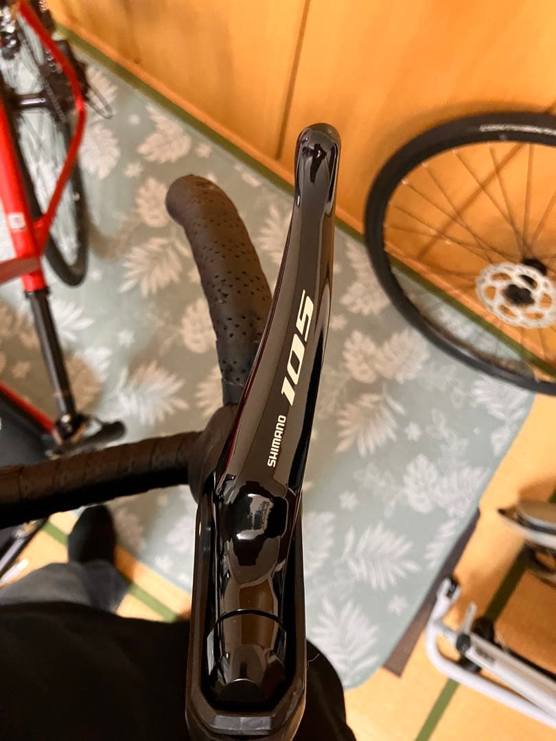 コーダーブルーム ストラウスディスク105 完成車