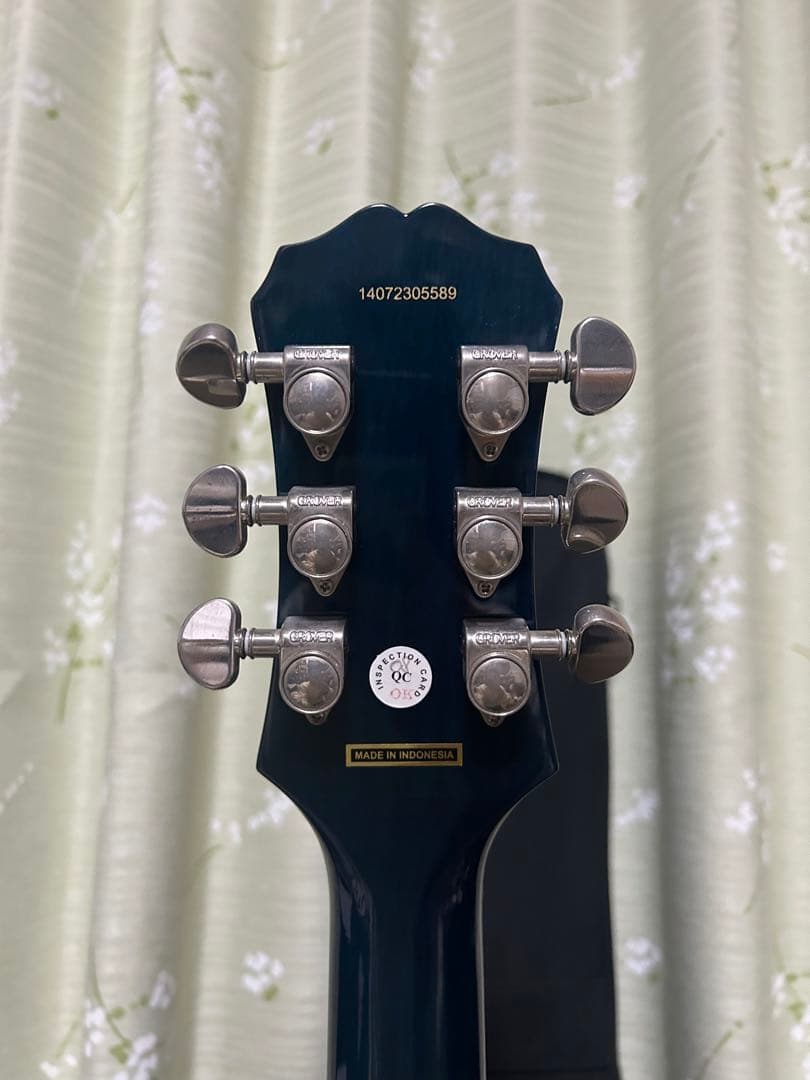 ギター Epiphone Les Paul standard pro