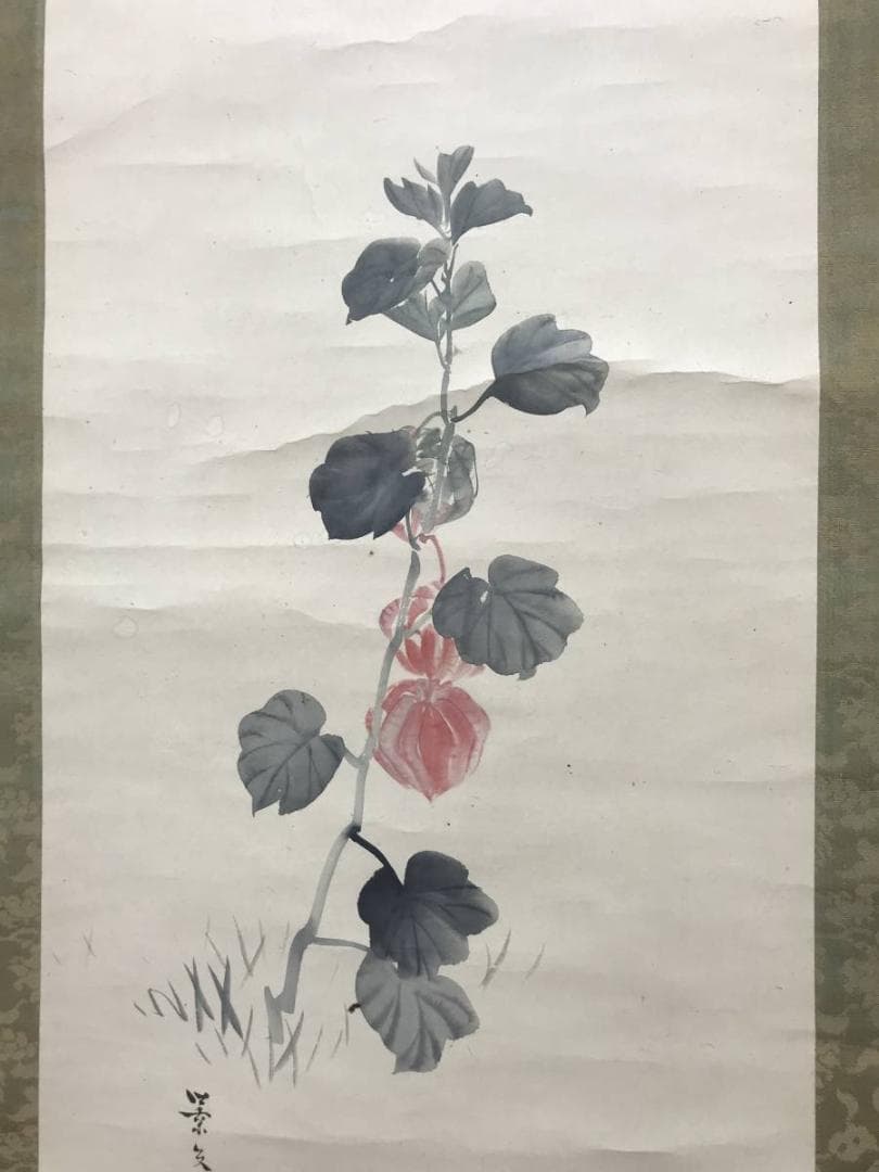 【真作】松村景文/ほおずき図/ホオズキ図/鬼灯図/掛軸/名家伝来/AC-1