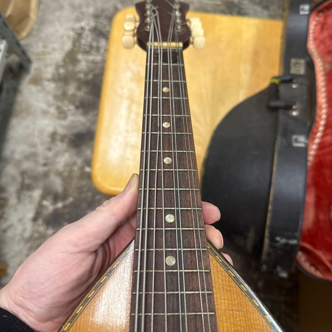 Suzuki Mandolin 日本製 ハードケース付き