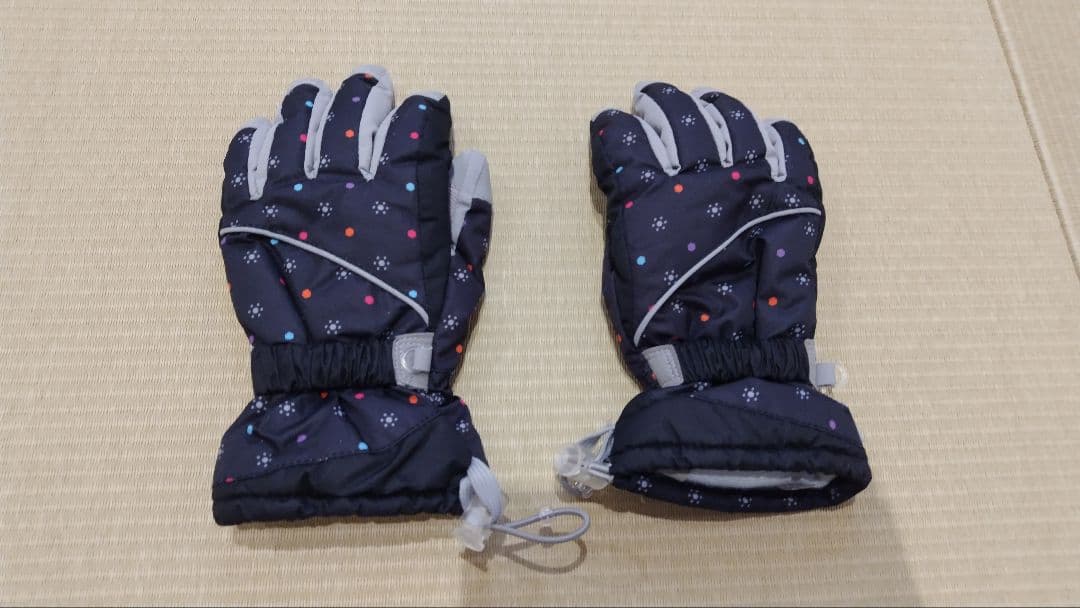 ICEPARDAL女性用スキーウェア