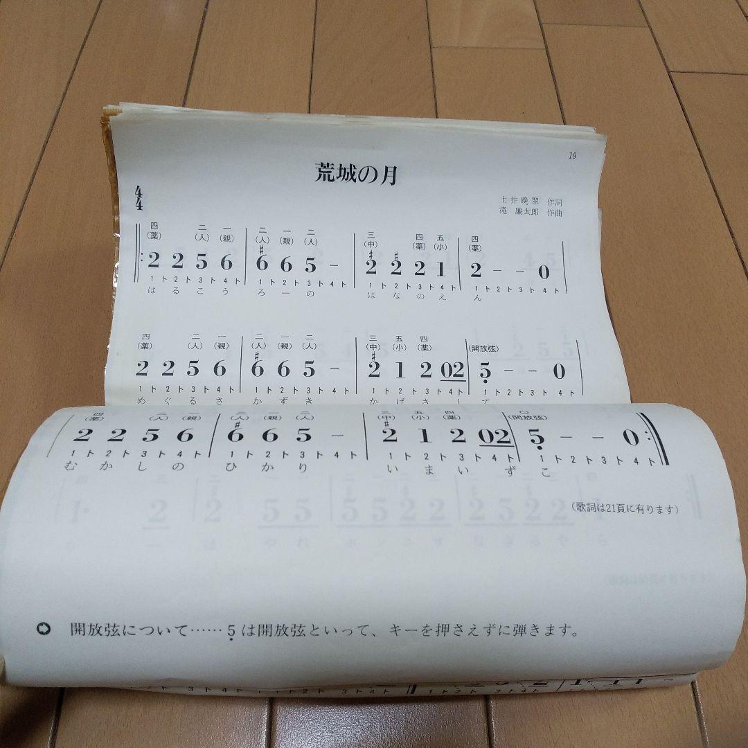 ゼンオン 大正琴 紅鶴