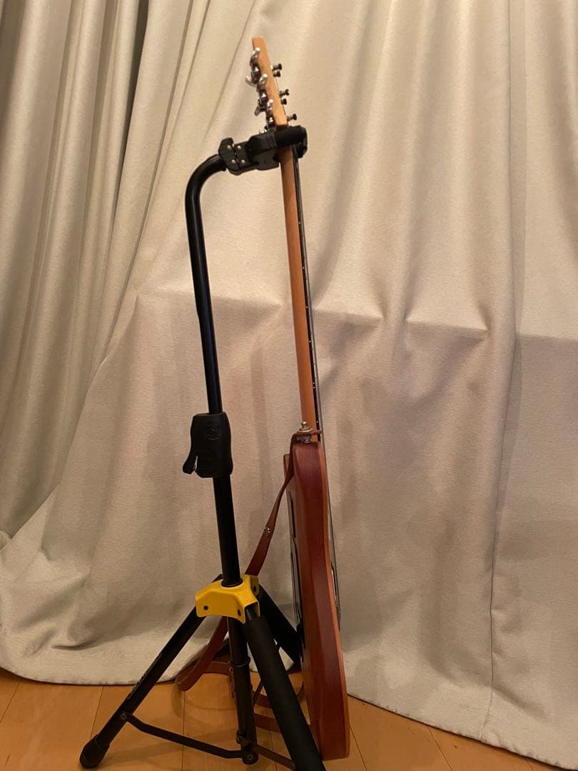 ポールリードスミス　CE 24 Semi-Hollow