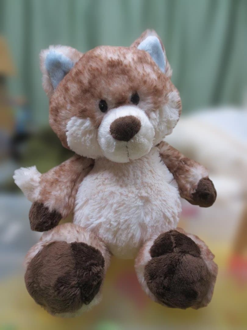 NICI　ニキ　Winter2021　スノーフォックス　クラシック　35㎝