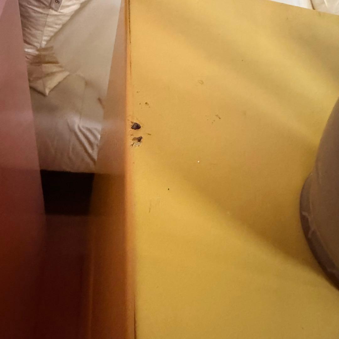 カラフルディスプレイスタンド3点セット ワンオフ　一点物