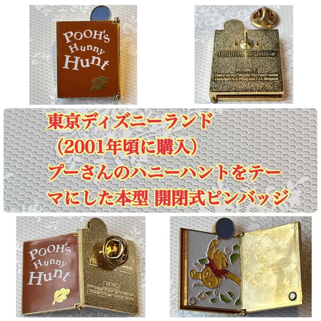 【レアあり】ディズニーランド・ディズニーストア・ピンバッジ21点セット 匿名配送