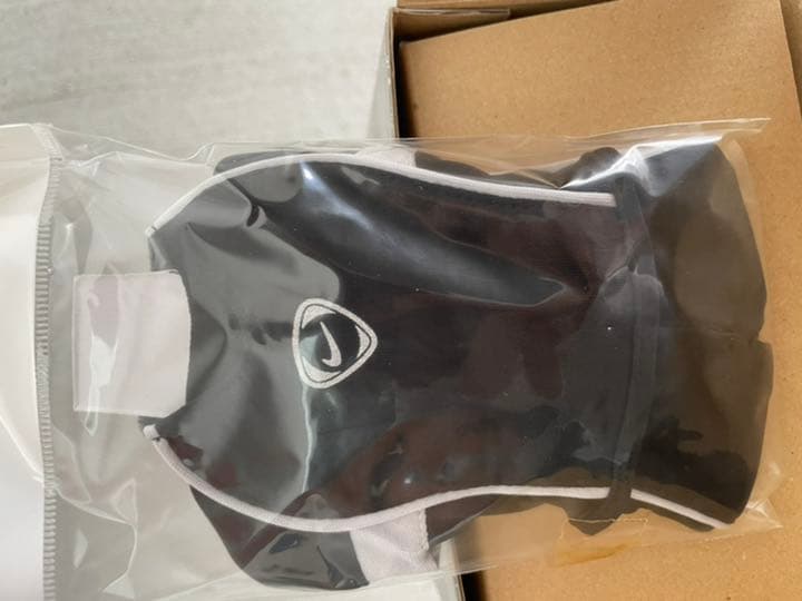 元サッカー日本代表　高原選手　フィギュア！スシボンバー！