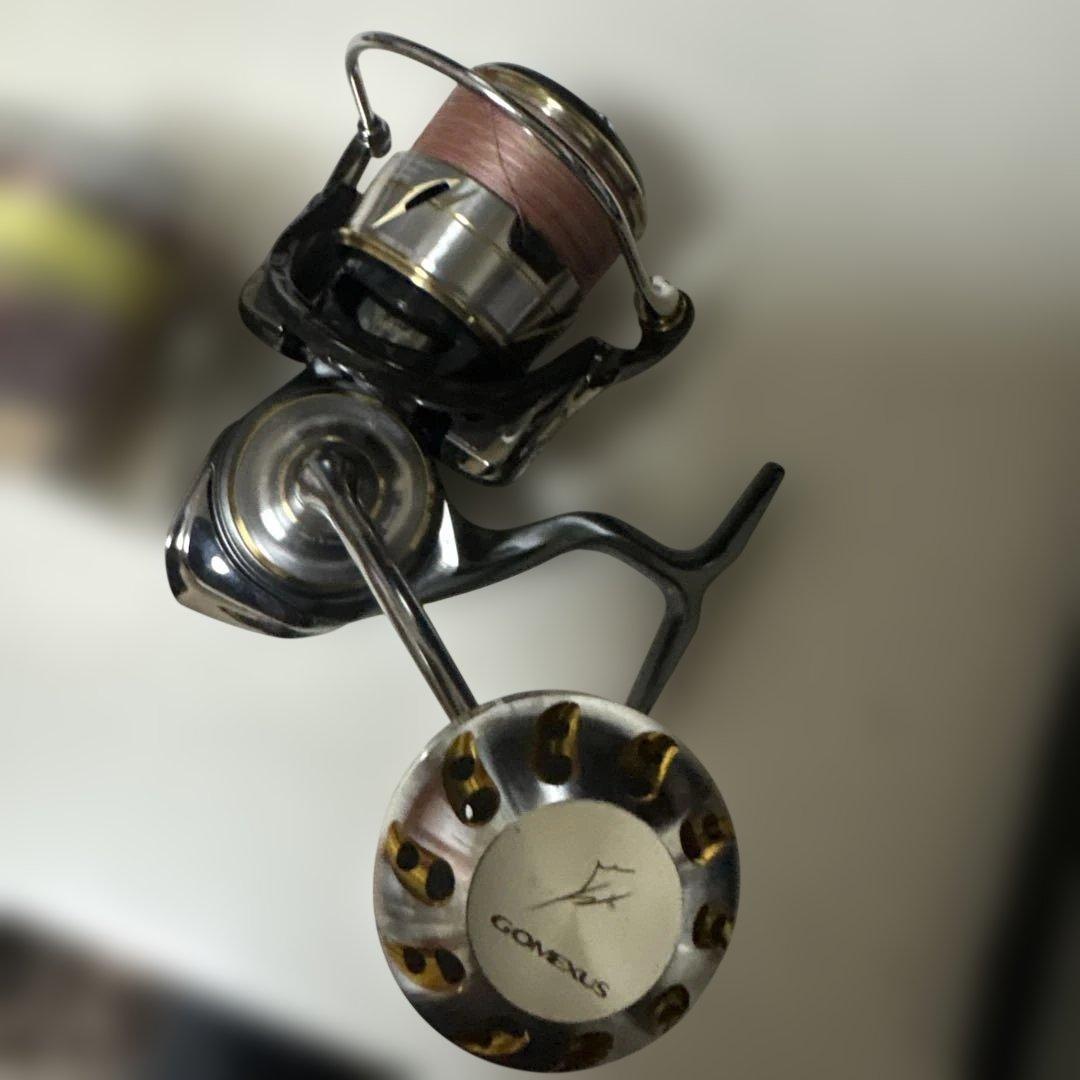 ダイワ　ルビアスLT4000-CXH