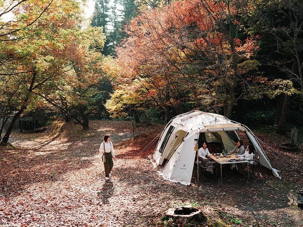 新品 スノーピーク ランドロック TP-671IV アイボリー