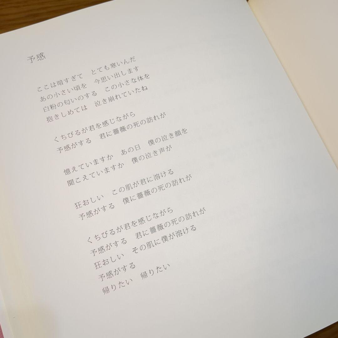 【絶版レア品】櫻井敦司 夜想 DVD有り、チラシ付