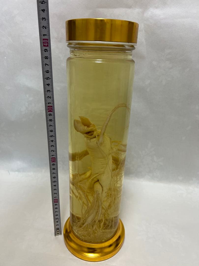 朝鮮白頭山人参古酒 薬膳酒 漢方 薬酒 健康酒 養命酒 年滋養強壮に役立つ