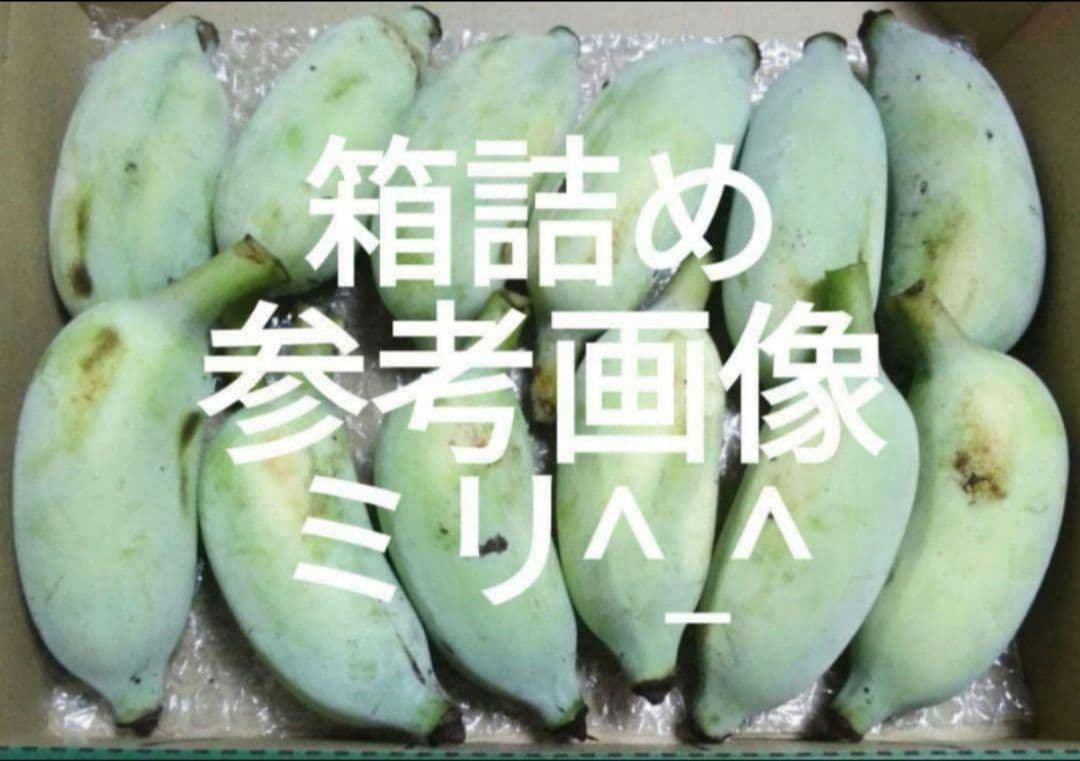 沖縄産　アップルバナナ　農薬不使用　箱込2kg