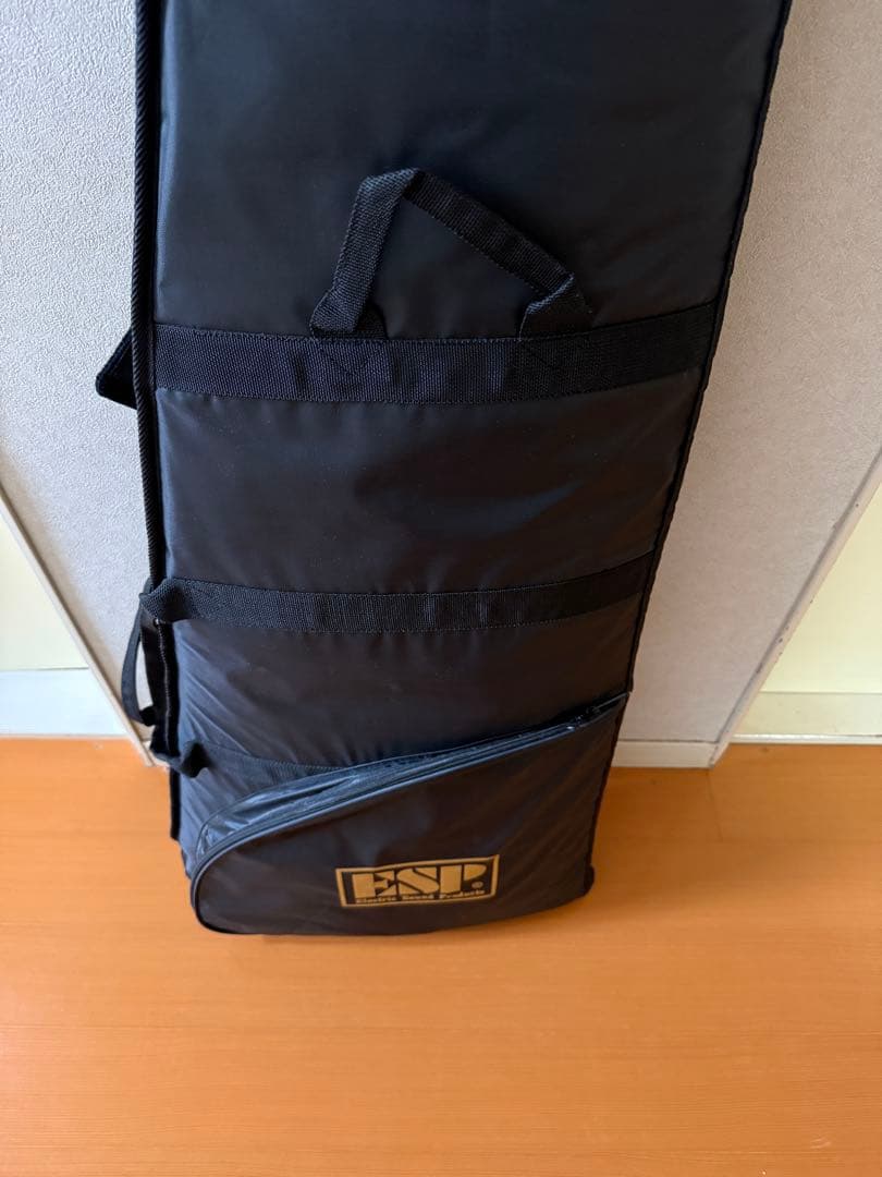 ESP EDWARDS エレキギター　Fujioka Custom